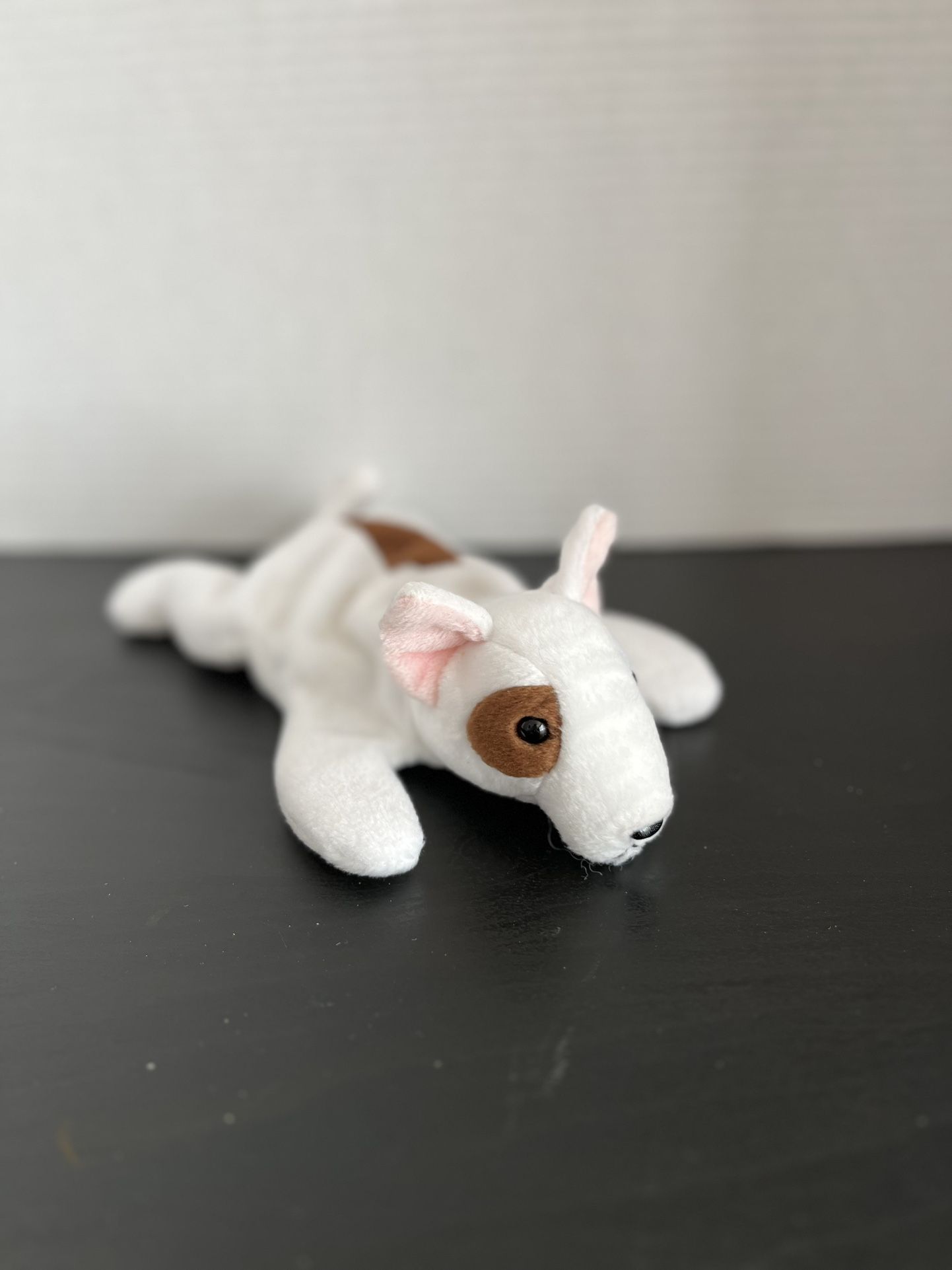 1999 TY Beanie Baby - BUTCH the Terrier Dog Swing Tag Missing