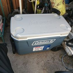 Cooler