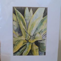 Aloe Vera Watercolor Print