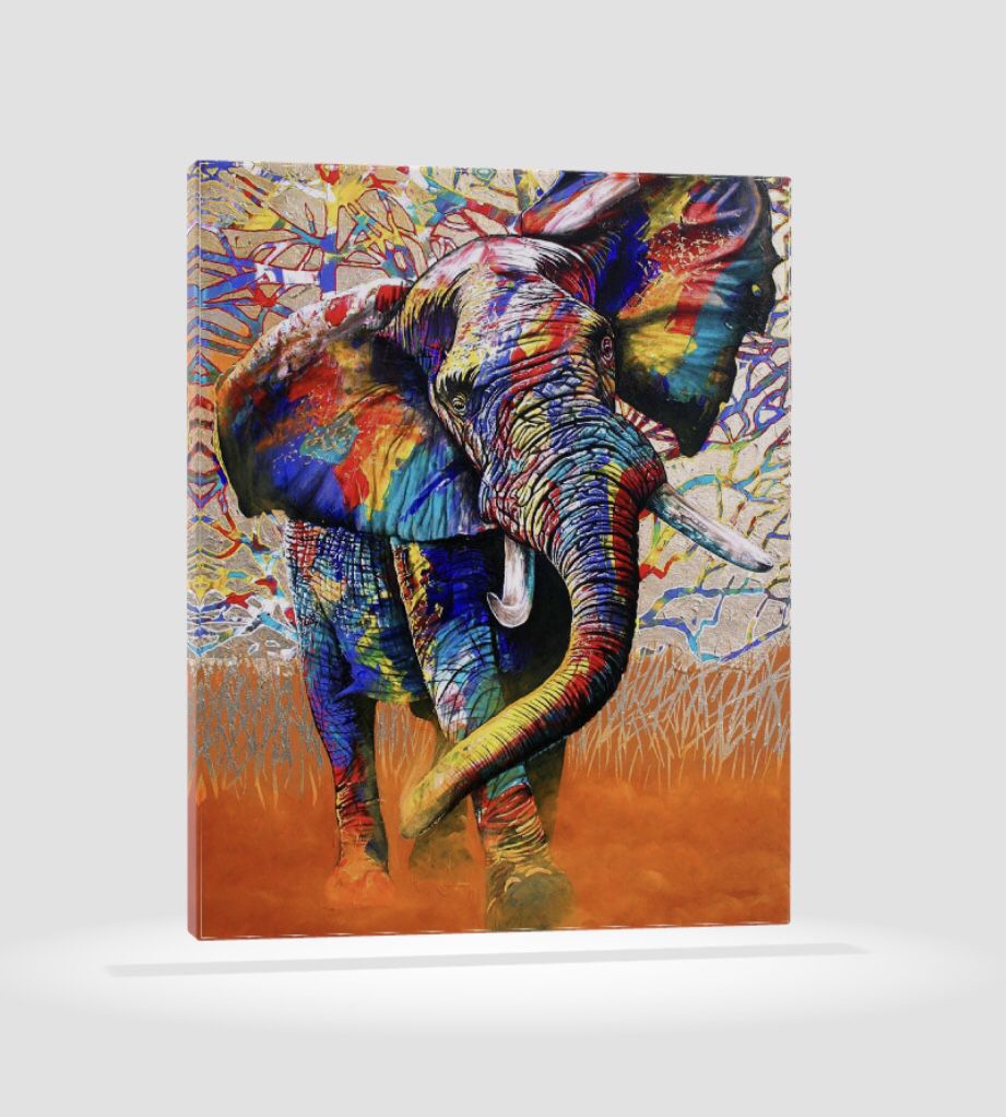Colorful Elephant Canvas Print Wallart Size 12x14in 