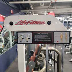 Life Fitness Triceps Machine 