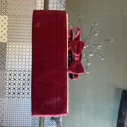 Pure Silka Silk Cummerbund And Bow tie 