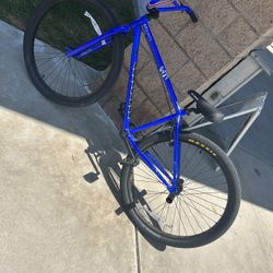 Gt Performer 29inch
