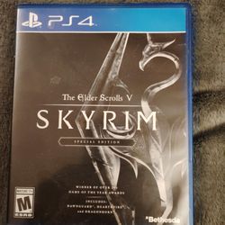 Skyrim Special Edition  