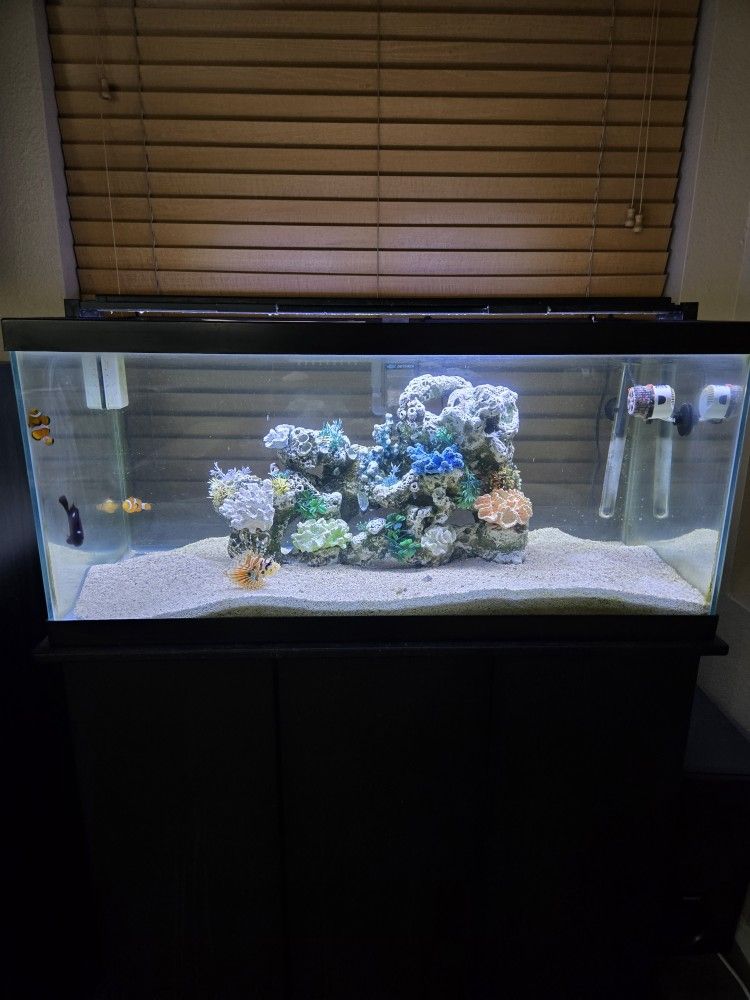 Fish Tank