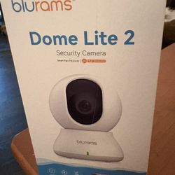 Blues Security Camera