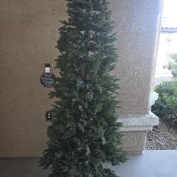 Christmas  Tree Free
