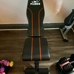 πͺ Flybird Adjustable Utility Weight Bench β Like New!
