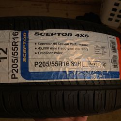 Sceptor 4XS