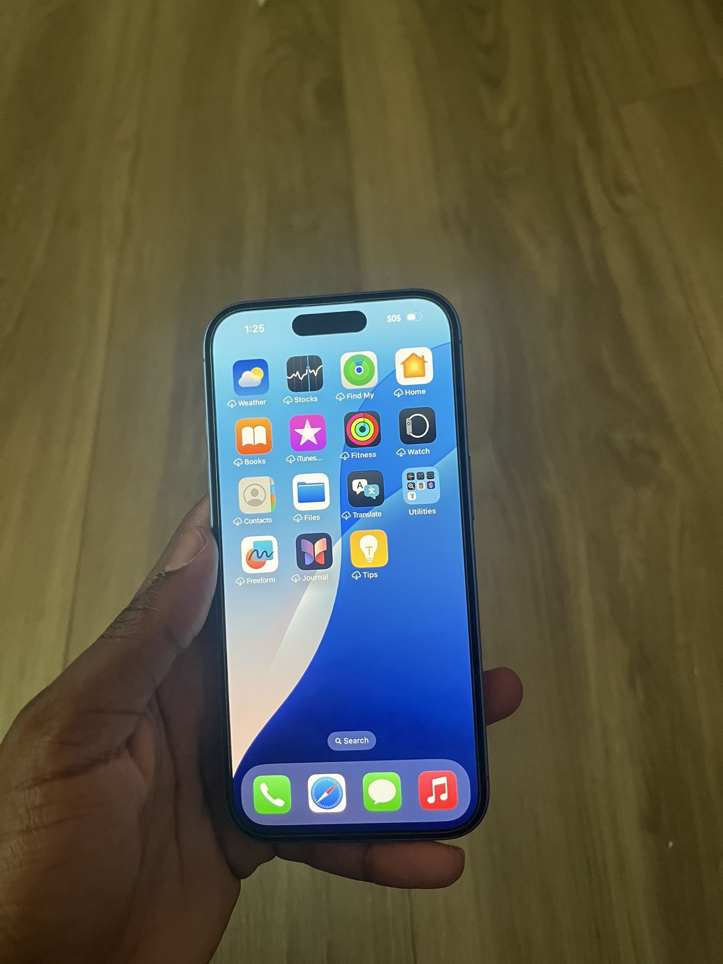 iPhone 16 