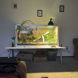 Snake Enclosure 