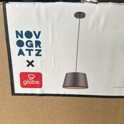 Globe Pendant Lights 