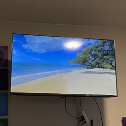 40in Vizio Smart Tv W Mount