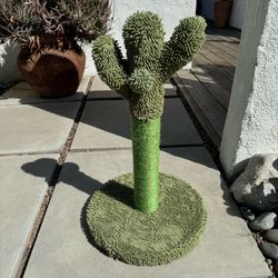 Cactus Sisal Cat Kitty Kitten Scratching Post 22” (Silver Lake)