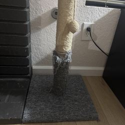 Cat Scratcher