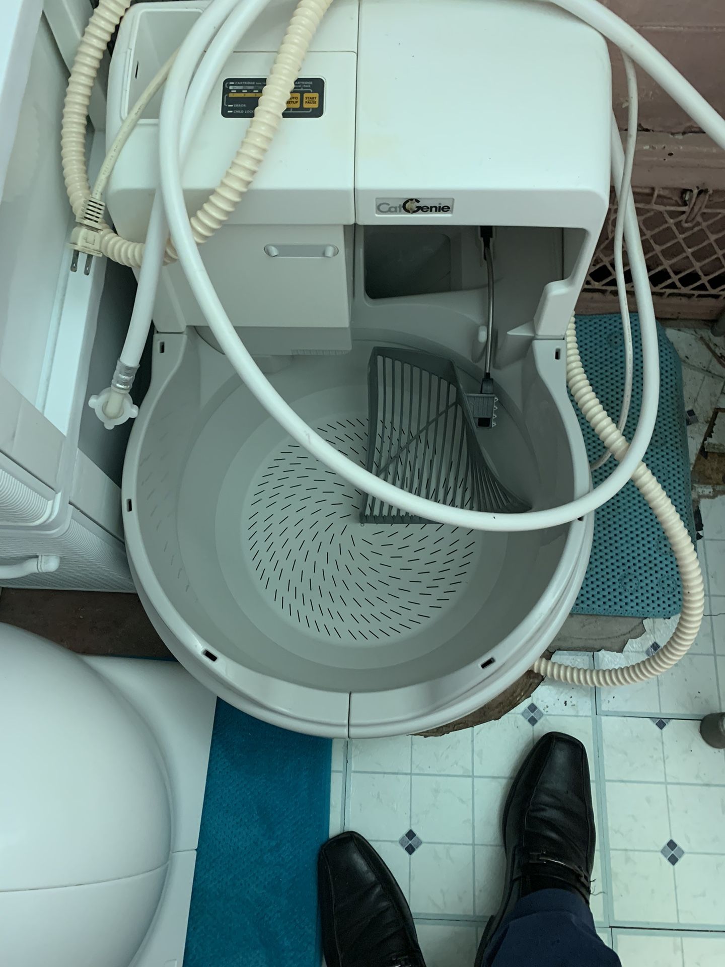 cat Genie for Sale in Nedrow, NY OfferUp