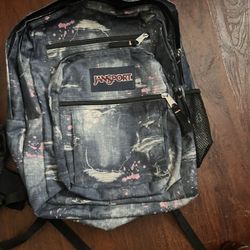 JanSport Backpack