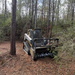 Forestry Mulching
