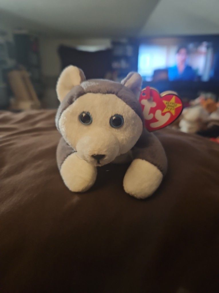 Beanie Babie ( Nanook)