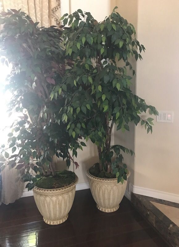 Two big fake plants looks great