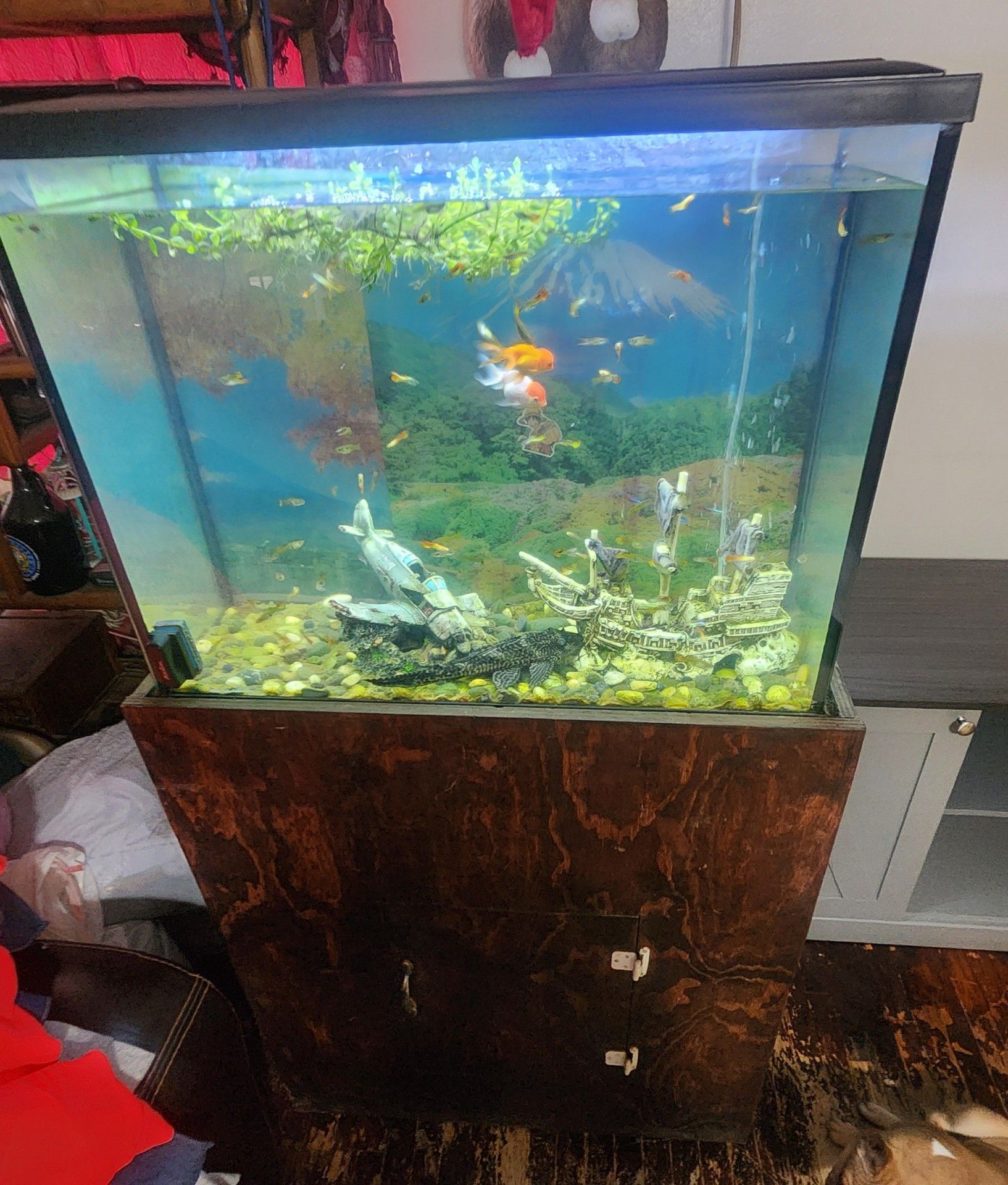 50 gallon Fish tank with stand