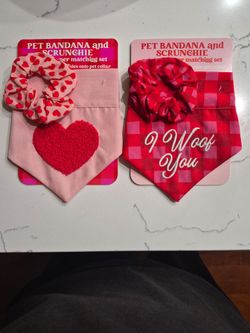 NEW Pet Bandana & Scrunchie (Pink/Red)