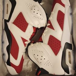 2021 Jordan 6 Retro Carmine Size 11 New $260