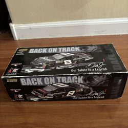 Dale Earnhardt #8 Back On Track