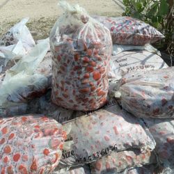 Red Polished Pebbles – Vibrant Decorative Stones – $39 40 lb bags