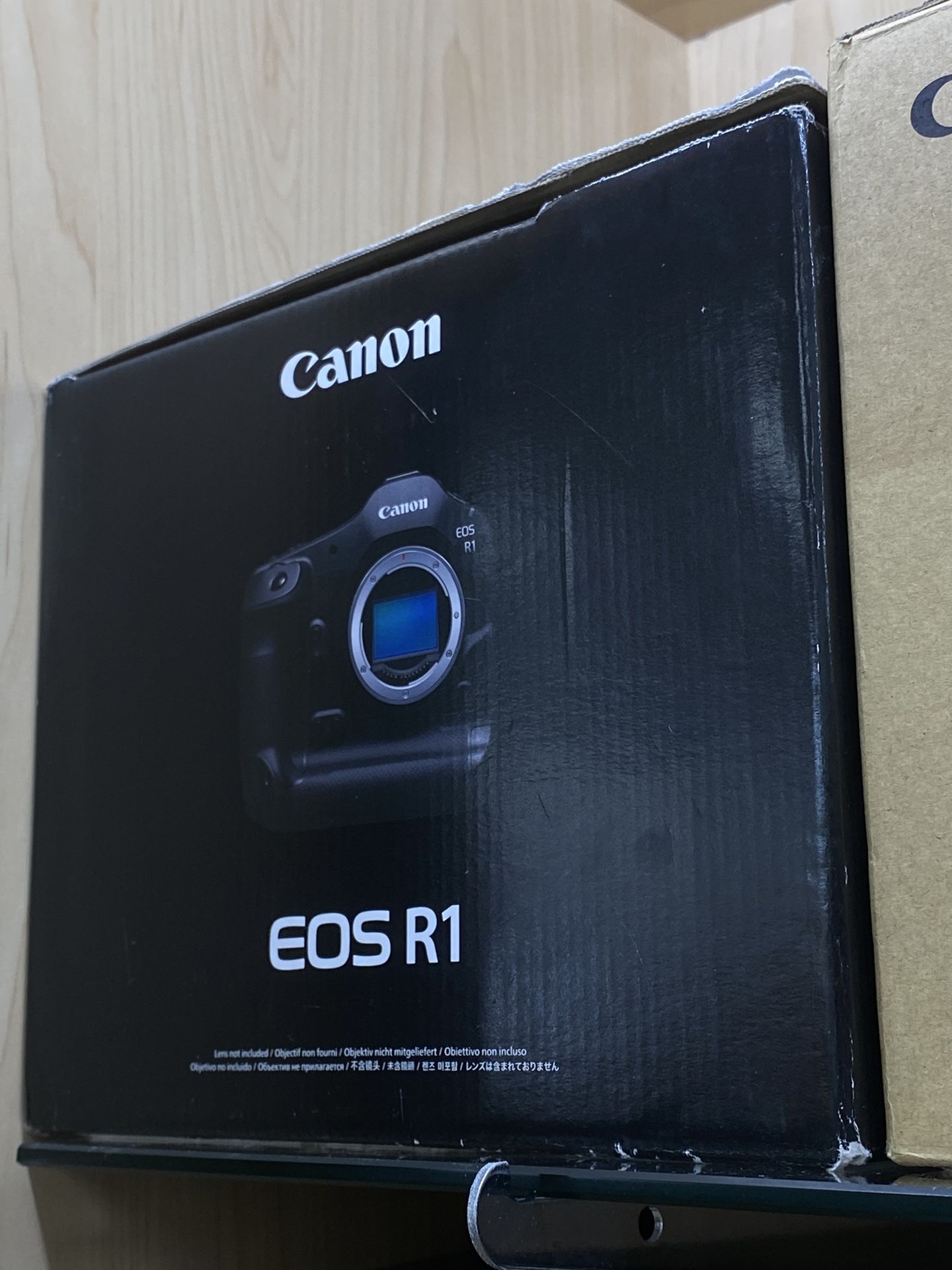 Canon R1 Mirrorless Camera