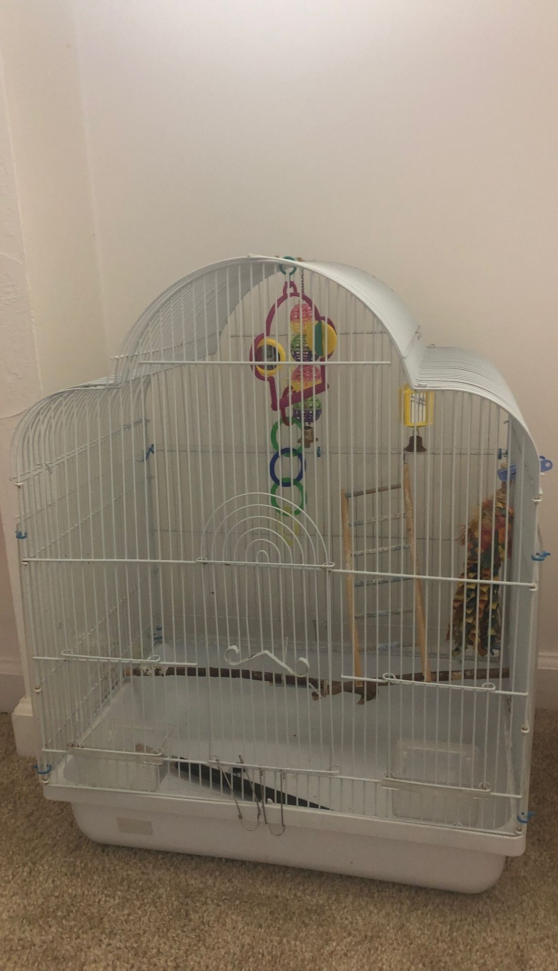 Parrot cage