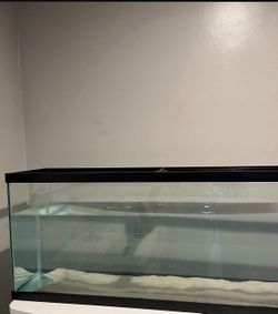 55 Gallon Tank