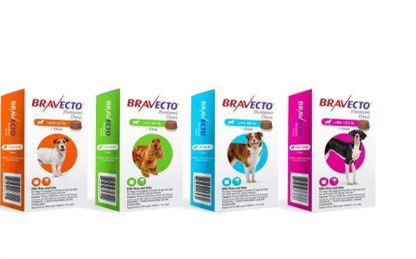 Bravecto For Dogs