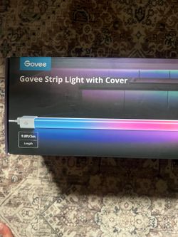 Govee strip lights with covers 9ft