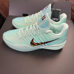 Nike Sabrina 3 LX All-Star Warning Label