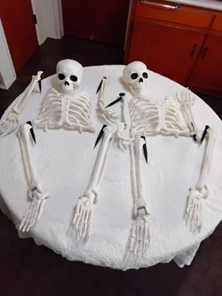 Full Body Plastic Skeleton Decorations – Set of 2. Like New