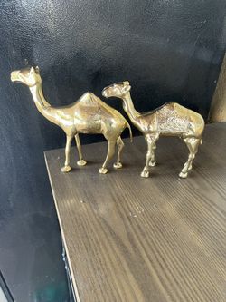 Brass Camels