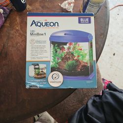 Aqueous Minibow 1 Desktop Aquarium Kit