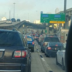 Landscaping, Trimming And Tree Romoval