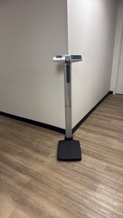 Professional scale