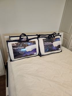 Shredded Memory Foam And Latex Pillows In Original Carry Case