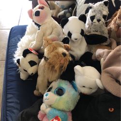 ty Beanie Babies Collection 