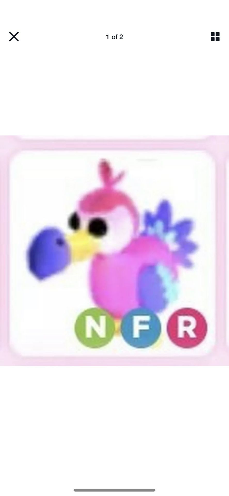 Neon dodo fly and ride adopt me roblox