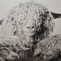 Nursery Picture 