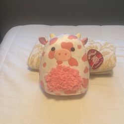 Evangélica Squishmallow