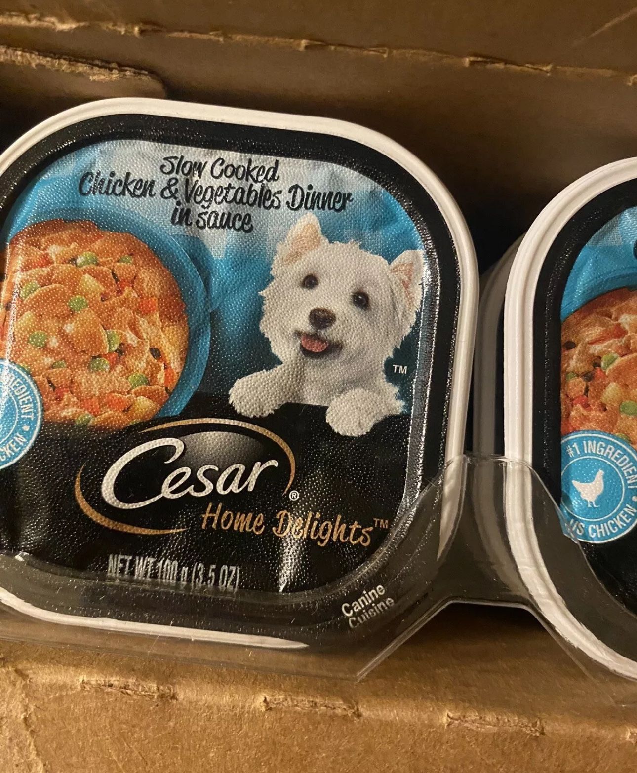 CESAR Adult Wet Dog Food Slow Cooked Chicken & Vegetables Dinner in Sauce Pack of 24
