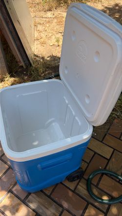 Cooler