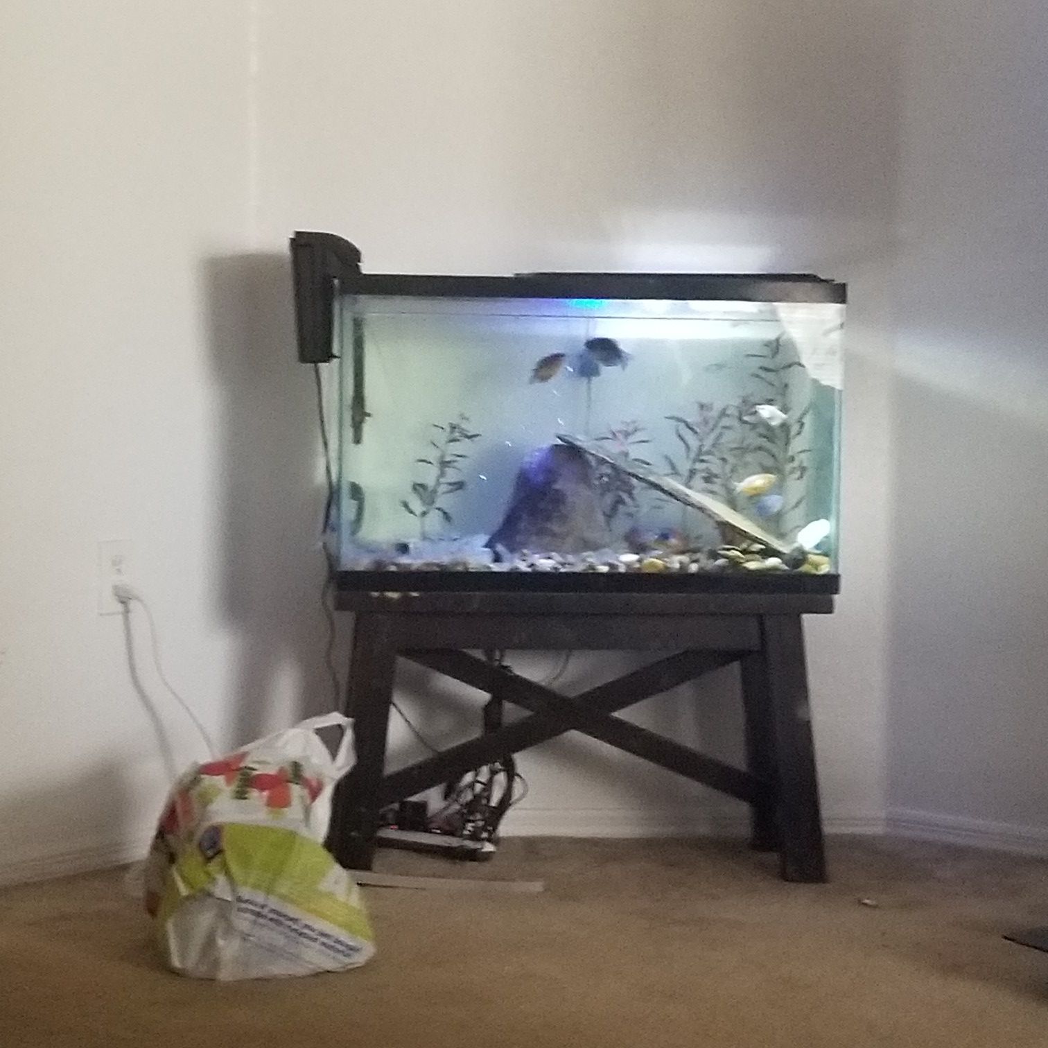 Aquarium free free all comes with