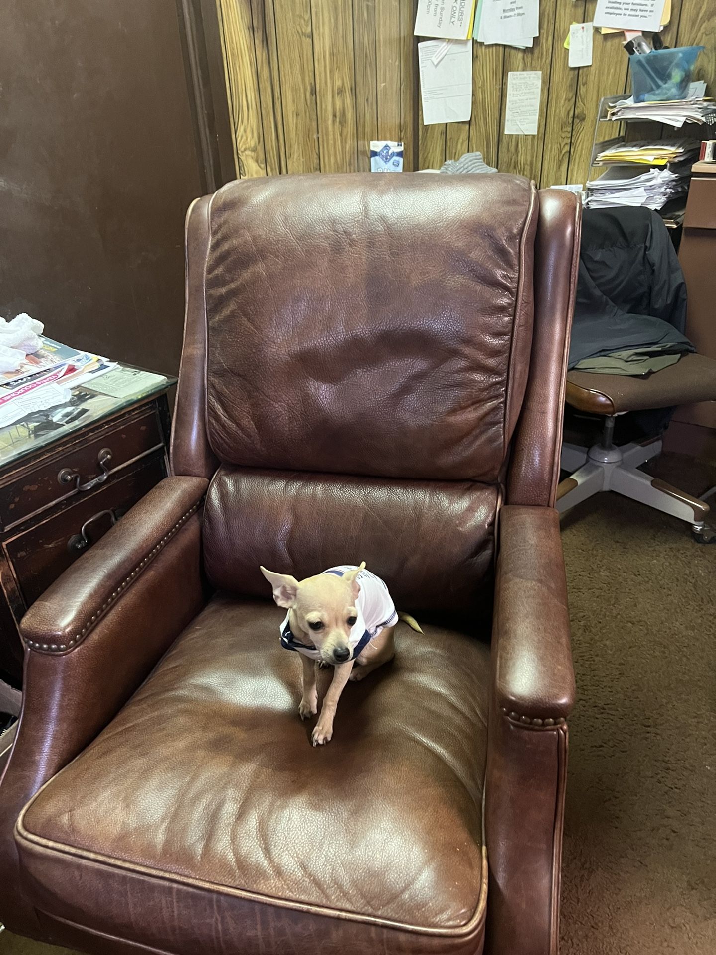 Hooker leather office chair dog not included $600 firm top grain leather by hooker