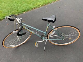 Schwinn World Sport 12 Speed